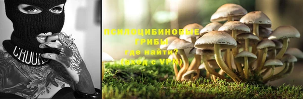 PSILOCYBIN Вязьма
