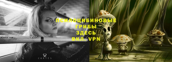 кокс Вяземский