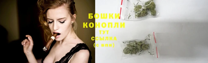 PSILOCYBIN Вязьма
