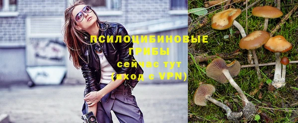 гидра Снежинск