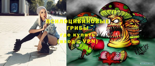 гидра Сосновка