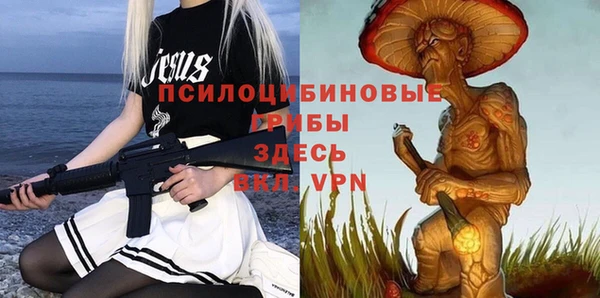 герыч Снежногорск