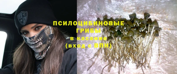 гидра Снежинск