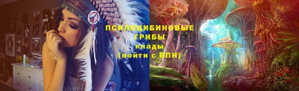 кокс Вяземский