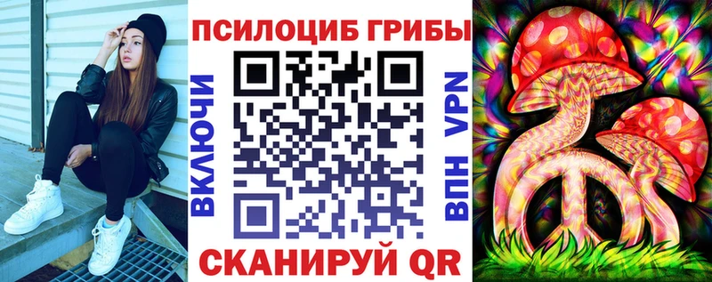 блэк спрут вход Карачев Галлюциногенные грибы мухоморы купить наркотик
